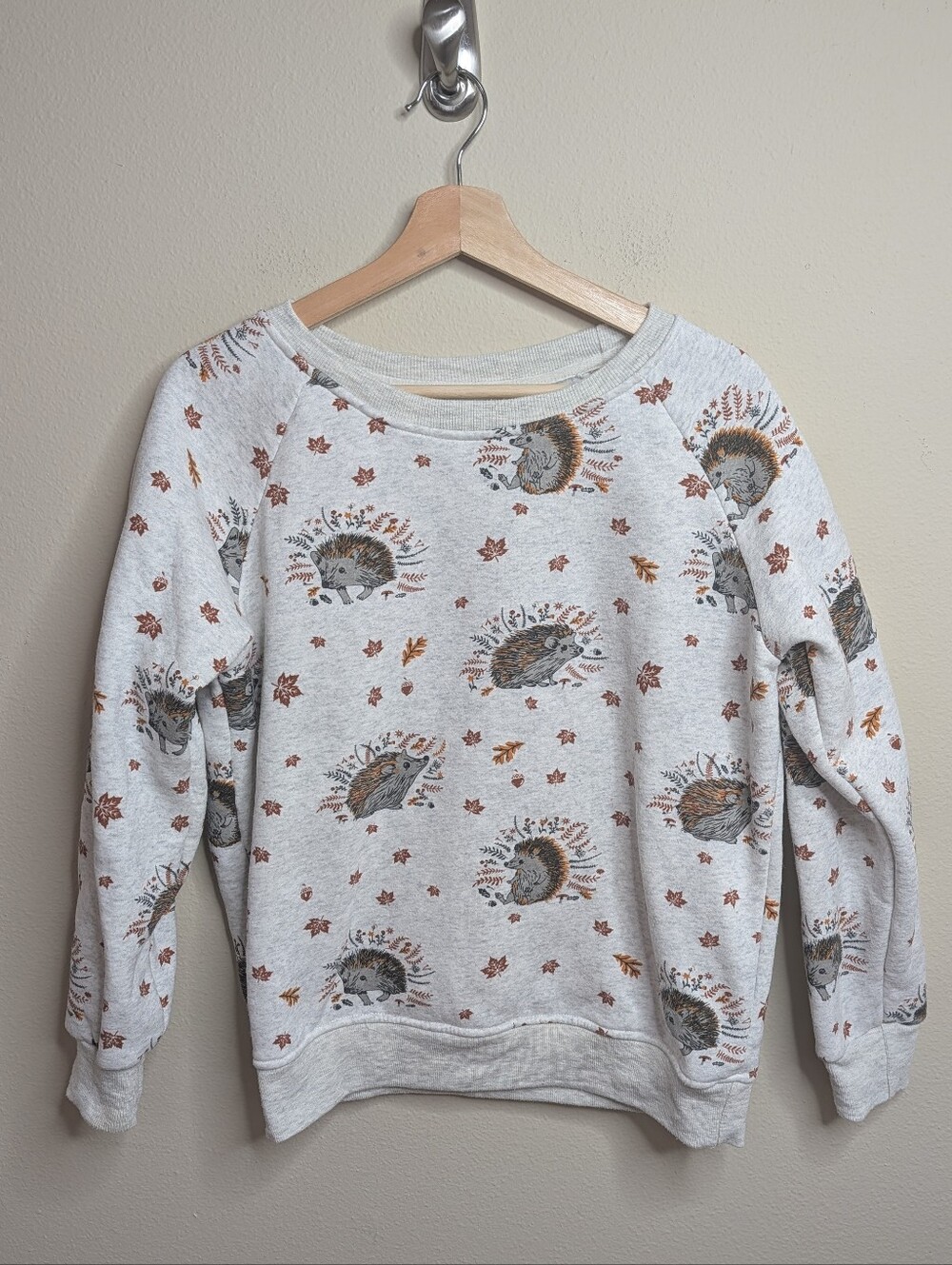 L.A. Soul Hedgehog Print Sweatshirt Crewneck Pullover Women's M Gray Cottagecore